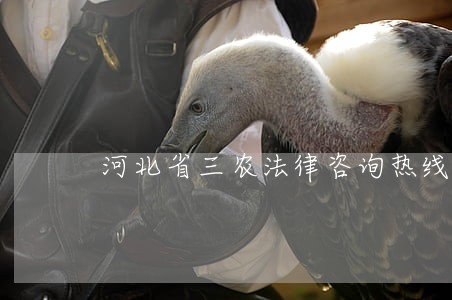 河北省三农法律咨询热线 河北省三农法律咨询热线