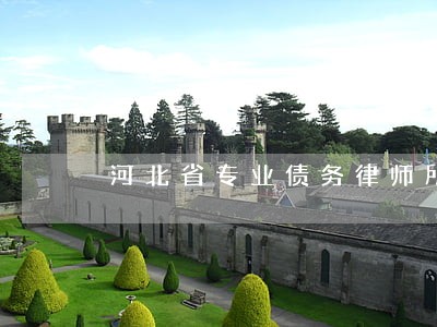 河北省专业债务律师所