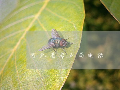 河北省专利局电话 河北省专利局电话