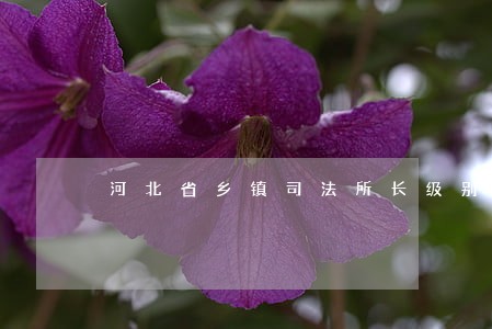 河北省乡镇司法所长级别 河北省乡镇司法所长级别