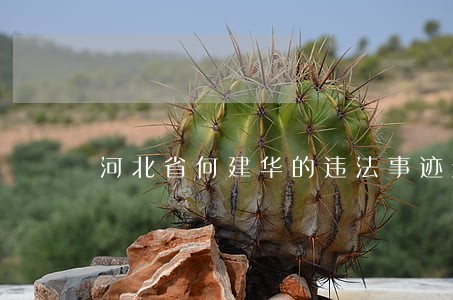 河北省何建华的违法事迹纯属虚构 河北省何建华的违法事迹纯属虚构