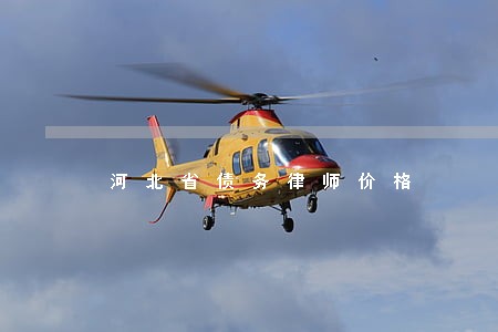 河北省债务律师价格 河北省债务律师价格