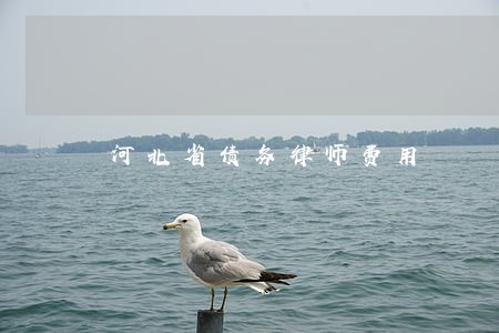 河北省债务律师费用 河北省债务律师费用