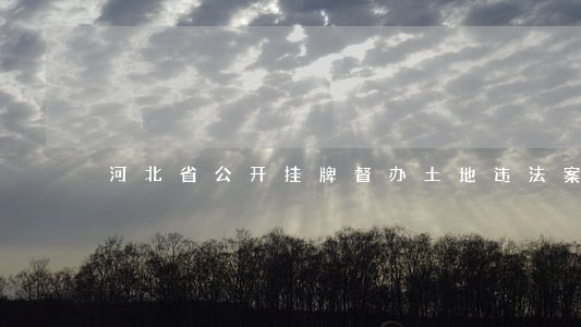 河北省公开挂牌督办土地违法案件