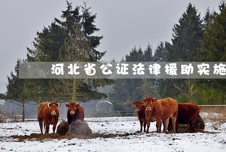 河北省公证法律援助实施办法 河北省公证法律援助实施办法
