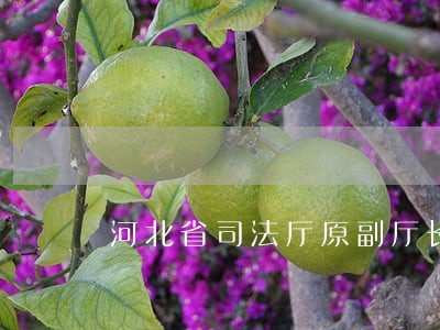 河北省司法厅原副厅长 河北省司法厅原副厅长