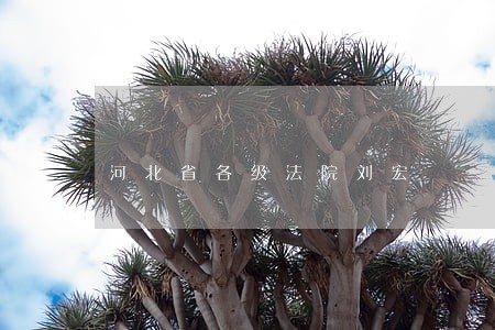 河北省各级法院刘宏