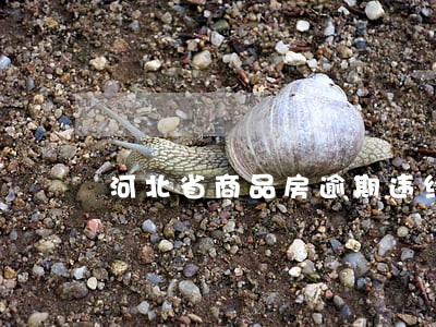河北省商品房逾期违约金计算天数 河北省商品房逾期违约金计算天数