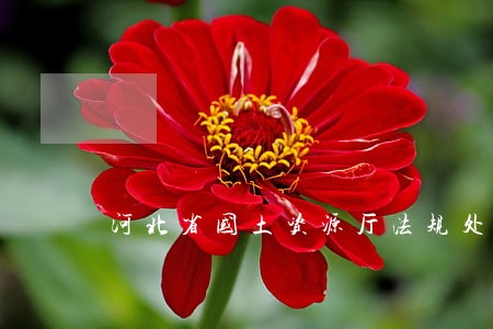 河北省国土资源厅法规处电话 河北省国土资源厅法规处电话