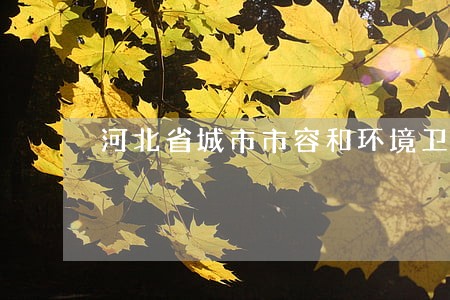 河北省城市市容和环境卫生条例