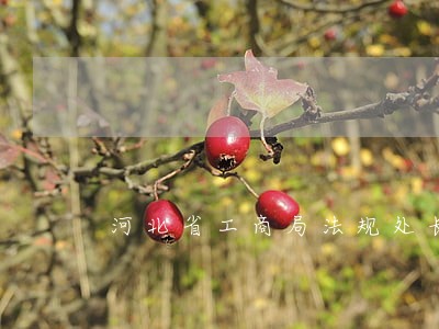 河北省工商局法规处长 河北省工商局法规处长