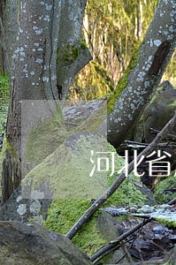 河北省房地产律师 河北省房地产律师