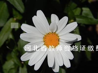 河北省教师资格证缴费逾期 河北省教师资格证缴费逾期