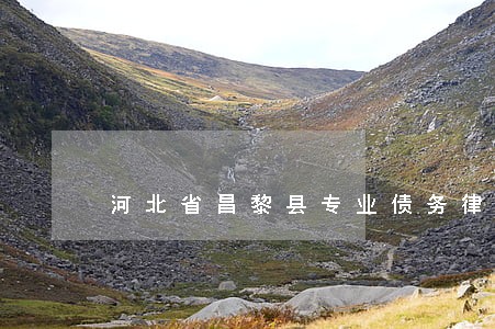 河北省昌黎县专业债务律师哪个好 河北省昌黎县专业债务律师哪个好