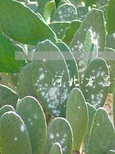 河北省昌黎县债务律师所地址 河北省昌黎县债务律师所地址