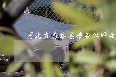 河北省昌黎县债务律师收费标准 河北省昌黎县债务律师收费标准
