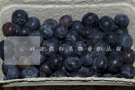 河北省有关物业的法规