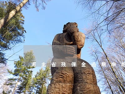 河北省残保金逾期申报罚款 河北省残保金逾期申报罚款