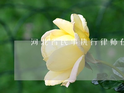 河北省民事执行律师在线解答 河北省民事执行律师在线解答