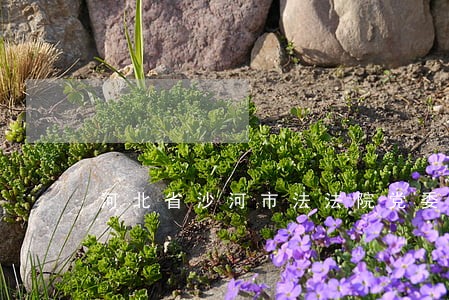 河北省沙河市法法院党委 河北省沙河市法法院党委