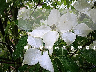 河北省沧州泊头法院书记招聘信息