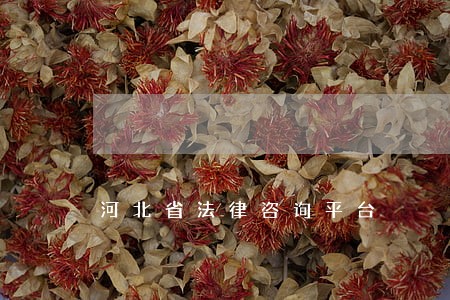 河北省法律咨询平台