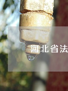 河北省法律咨询服务 河北省法律咨询服务