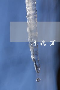 河北省法院张文中