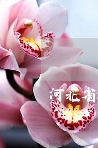 河北省法院纪检组长白斌到秦皇岛 河北省法院纪检组长白斌到秦皇岛