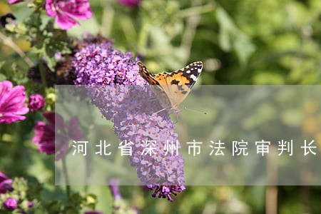 河北省深州市法院审判长 河北省深州市法院审判长
