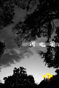 河北省版权服务平台 河北省版权服务平台