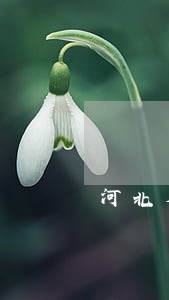 河北省版权服务平台用户中心 河北省版权服务平台用户中心