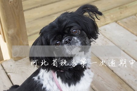 河北省税务第一次逾期申报