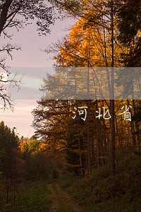 河北省警官学院几本