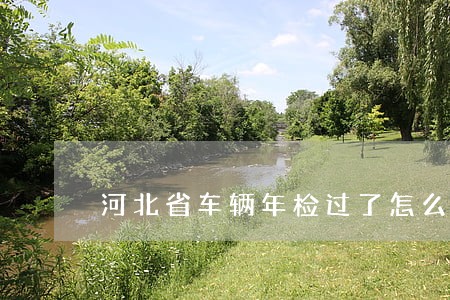 河北省车辆年检过了怎么显示逾期 河北省车辆年检过了怎么显示逾期