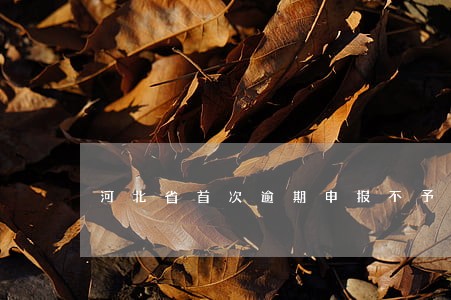 河北省首次逾期申报不予处罚 河北省首次逾期申报不予处罚