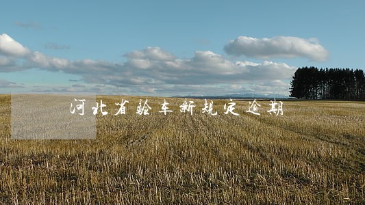 河北省验车新规定逾期 河北省验车新规定逾期