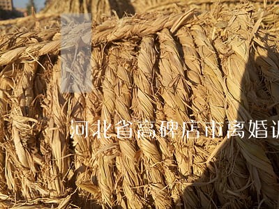 河北省高碑店市离婚诉讼代理律师