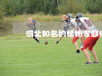河北知名的婚姻家庭律师辩护 河北知名的婚姻家庭律师辩护