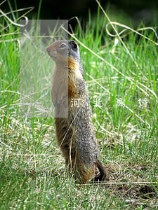 河北离婚律师事务所咨询 河北离婚律师事务所咨询