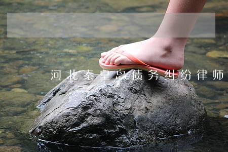 河北秦皇岛债务纠纷律师收费标准