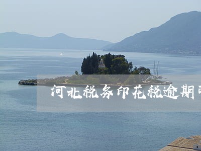 河北税务印花税逾期可以申报吗
