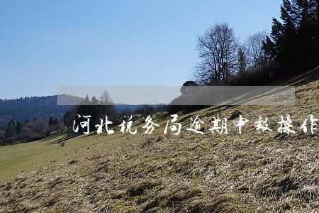河北税务局逾期申报操作 河北税务局逾期申报操作