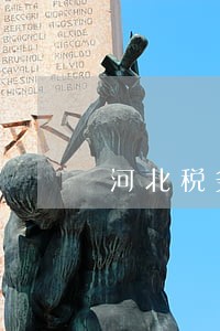 河北税务逾期申报模板 河北税务逾期申报模板