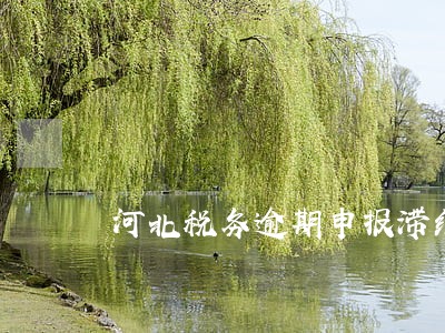 河北税务逾期申报滞纳金