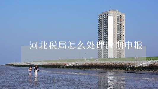 河北税局怎么处理逾期申报 河北税局怎么处理逾期申报
