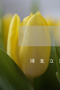 河北立法制止个人信息泄露 河北立法制止个人信息泄露