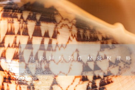 河北网络著作权侵权律师 河北网络著作权侵权律师
