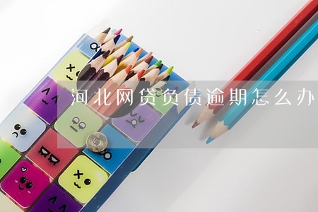 河北网贷负债逾期怎么办 河北网贷负债逾期怎么办