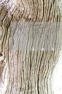 河北自考劳动关系与劳动法 河北自考劳动关系与劳动法